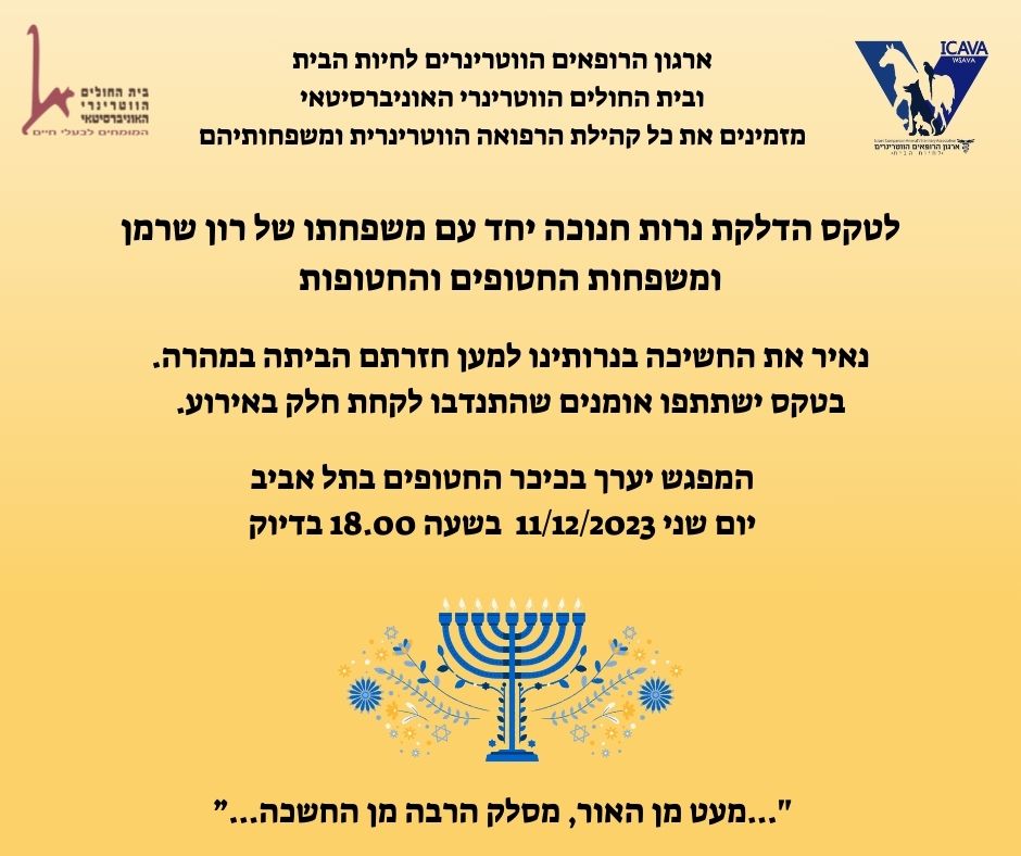 טקס הדלקת נרות חנוכה בכיכר החטופים בתל אביב בתאריך 11 בדצמבר 2023 בשעה 18