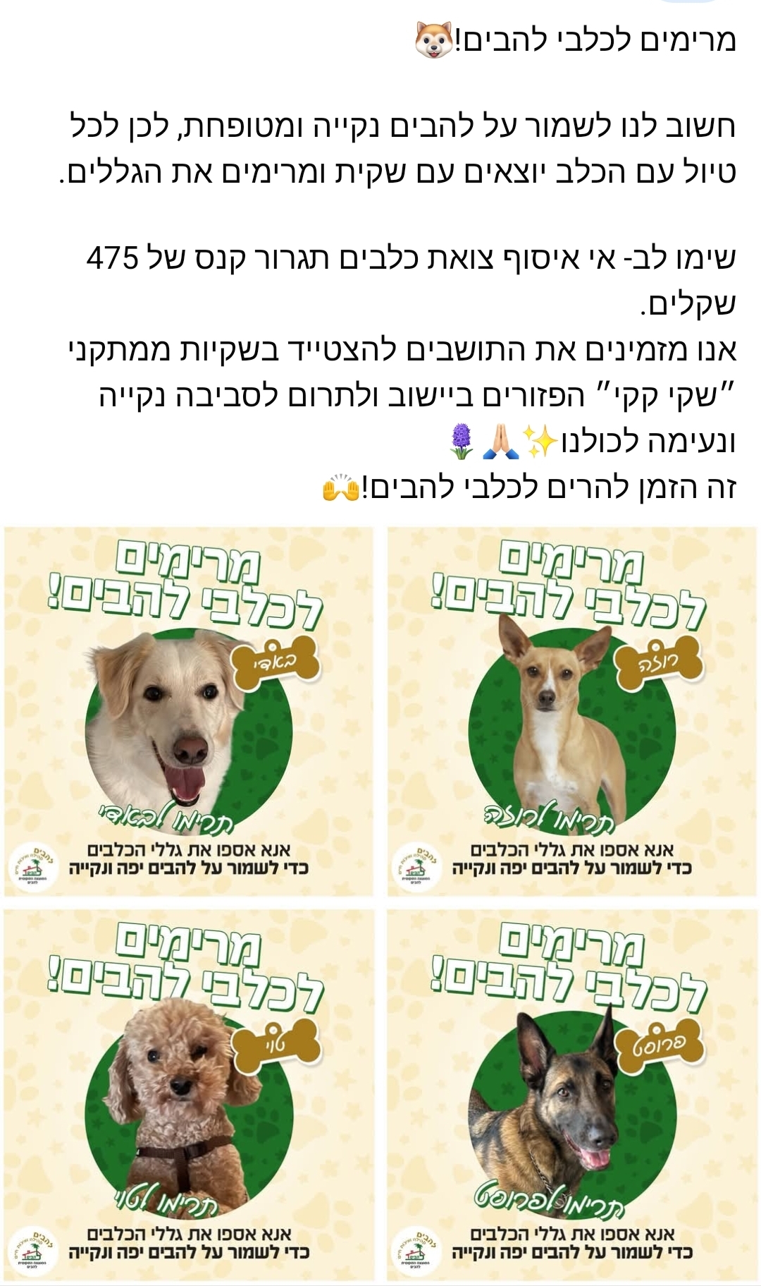מרימים לכלבי להבים