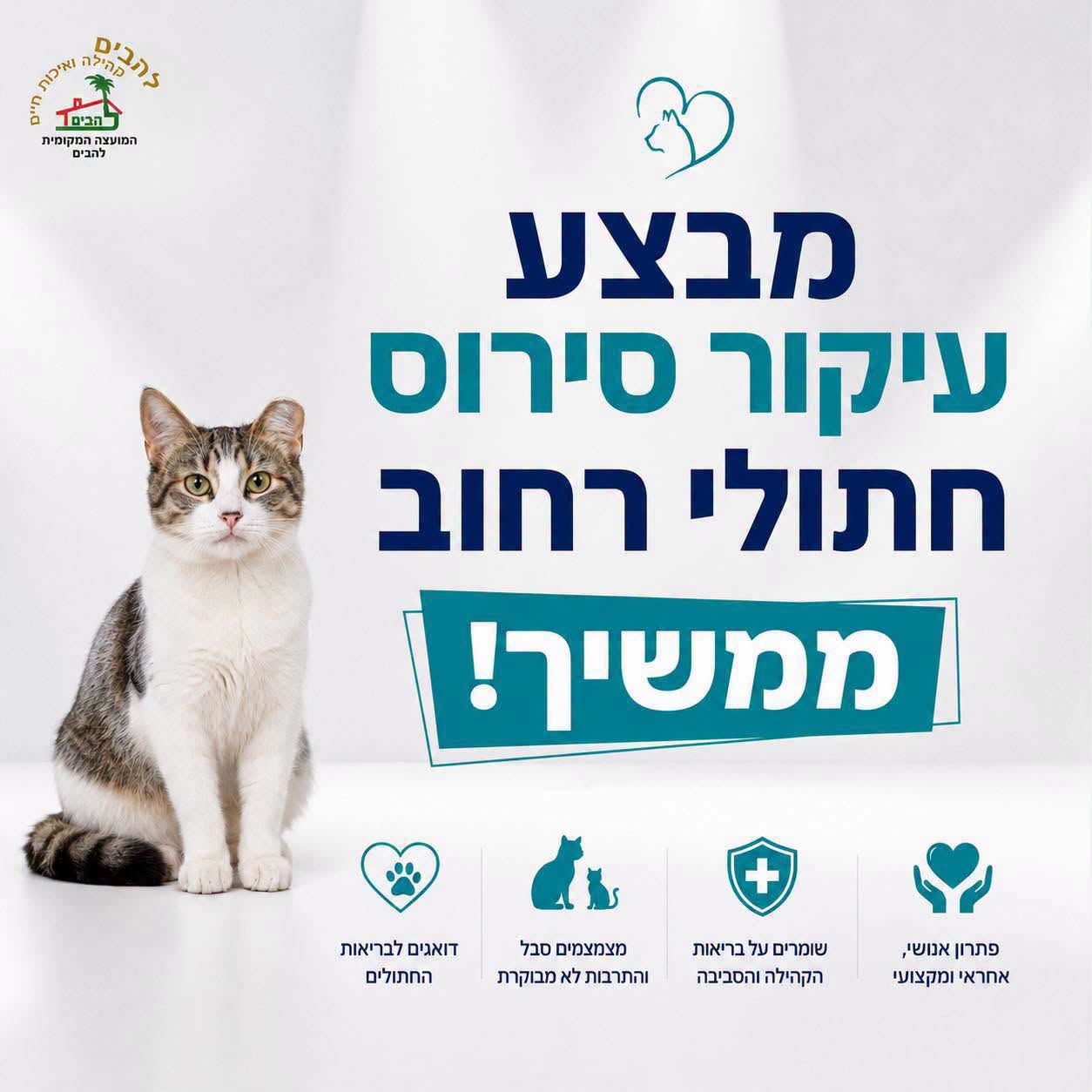 מבצע עיקור סירוס חתולים בלהבים 22.9.2026